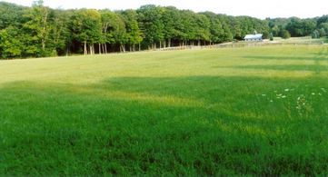 Property View - Country homes for sale and luxury real estate including horse farms and property in the Caledon and King City areas near Toronto